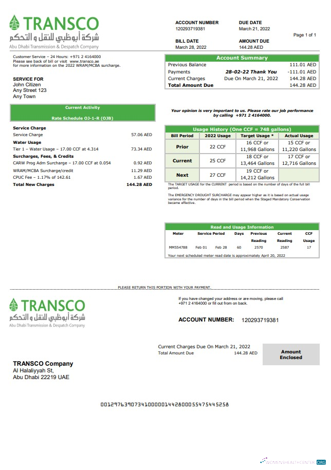 UAE Abu Dhabi Transmission & Despatch Company (TRANSCO) utility bill template in Word and PDF format